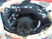 /album/associane-amici-miei/io-046-jpg/